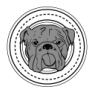 Boston Bulldogs Running Club | A Co-Ed Non-Profit Running Club